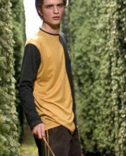 Седрик Диггори