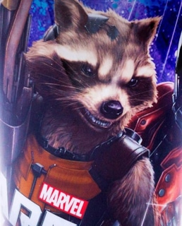 Енот-Ракета