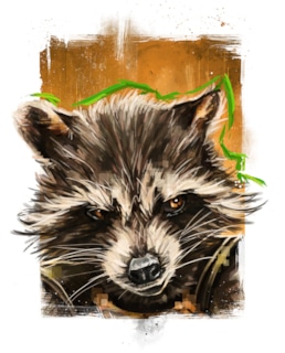 Енот-Ракета