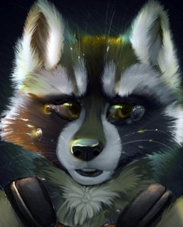 Енот-Ракета