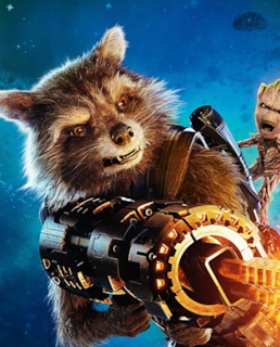 Енот-Ракета