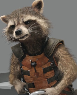 Енот-Ракета