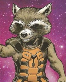 Енот-Ракета