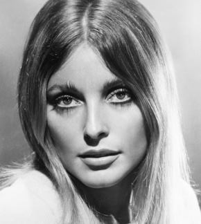 фотография Шэрон Тейт