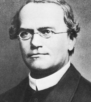 фотография Грегор Мендель