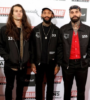 фотография Fever 333