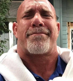 фотография Билл Голдберг