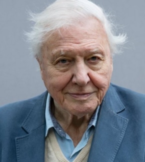 фотография Дэвид Аттенборо