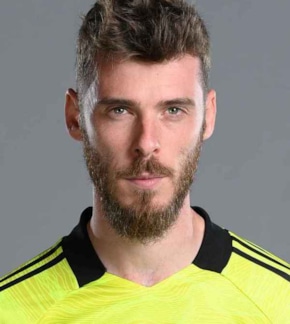 фотография Давид де Хеа