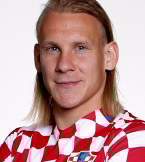 фотография Домагой Вида