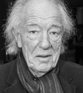 фотография Майкл Гэмбон