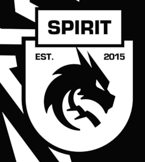 фотография Team Spirit