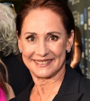 фотография Лори Меткалф