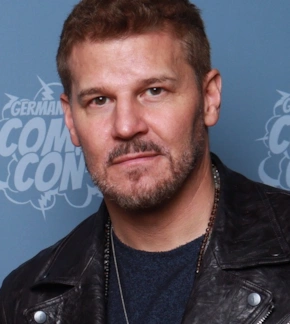 фотография Дэвид Бореаназ