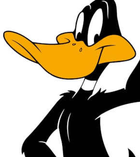 фотография Даффи Дак