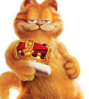 фотография Гарфилд