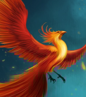 фотография Птица Феникс