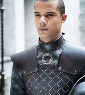 фотография Серый Червь