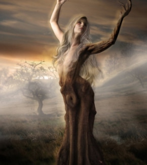 фотография Дафна