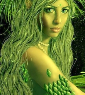 фотография Кикимора