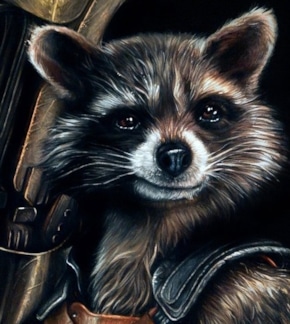 фотография Енот-Ракета