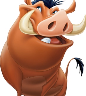 фотография Пумба