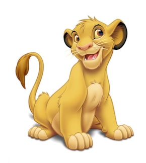 фотография Симба