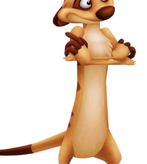 фотография Тимон