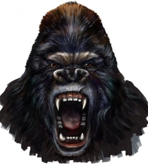 фотография Кинг-Конг