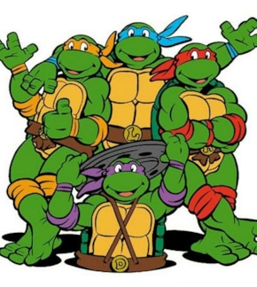 фотография Черепашки-ниндзя