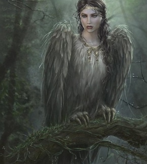 фотография Гамаюн