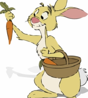 фотография Кролик