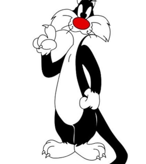 фотография Кот Сильвестр