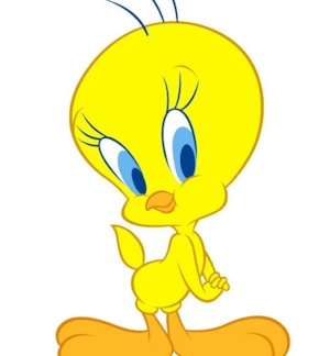 фотография Твити