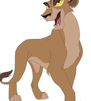 фотография Зира