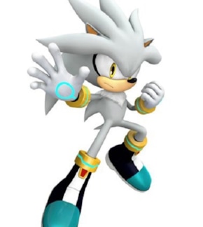 фотография Еж Сильвер