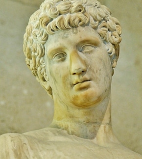 фотография Адонис