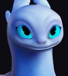 фотография Дневная Фурия