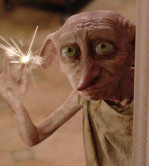 фотография Добби