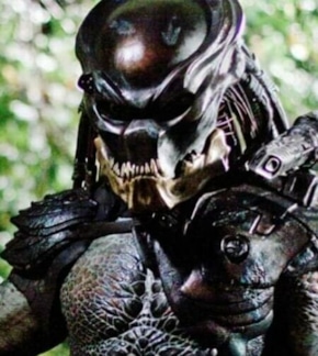 фотография Хищник