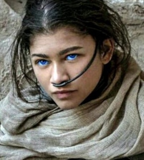 фотография Чани Кайнз