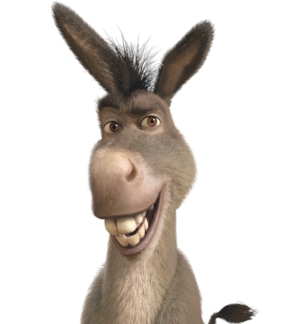 фотография Осел