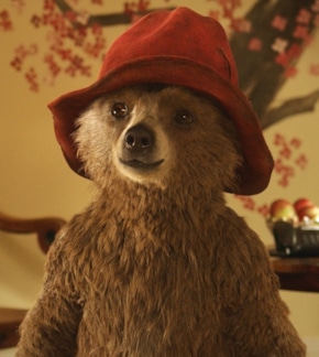 фотография Паддингтон