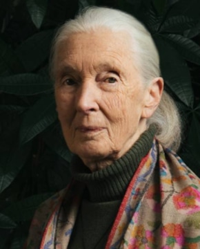 Джейн Гудолл