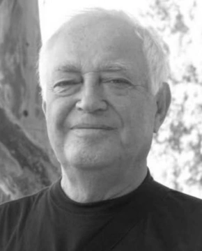 Петр Мостовой