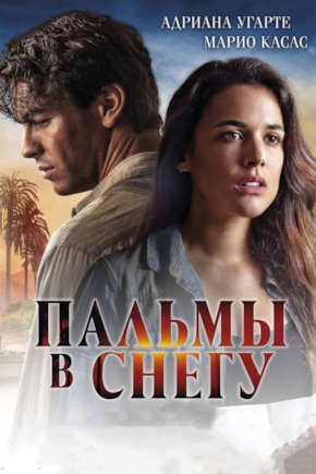 постер Пальмы в снегу