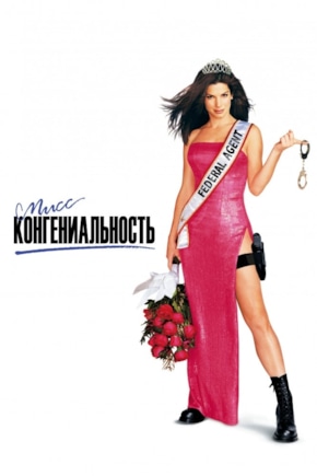 постер Мисс Конгениальность