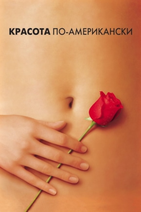 постер Красота по-американски