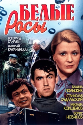 постер Белые росы