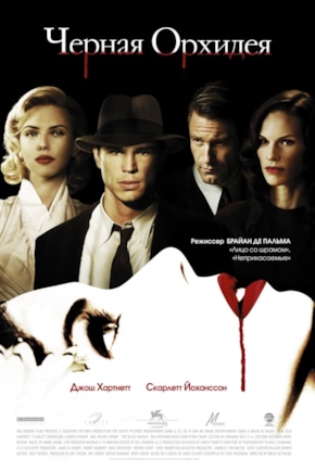 постер Черная орхидея